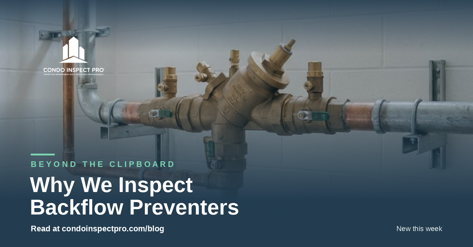 Backflow preventer assembly in an Ontario condominium mechanical room showing brass valve fittings and pipe connections